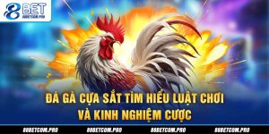 Tin Game 88BET: Khám Phá Xu Hướng Cá Cược Mới Nhất 2026 - game66.lol