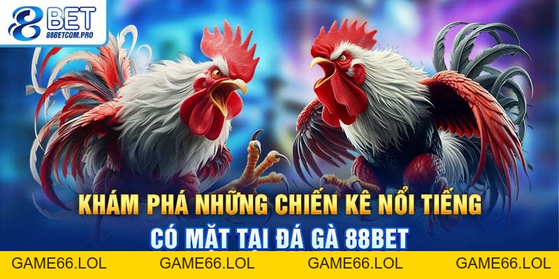 Đá Gà 88Bet Và Những Hình Thức Cược Thú Vị Bạn Nên Chơi - game66.lol