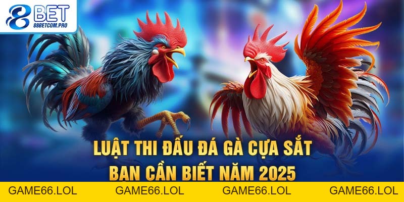 Đá Gà Cựa Sắt Tìm Hiểu Luật Chơi Và Kinh Nghiệm Cược - game66.lol