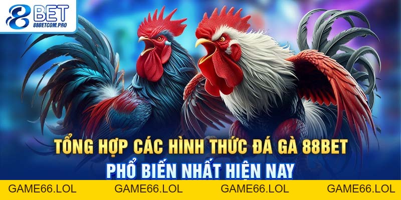 Đá Gà 88Bet Và Những Hình Thức Cược Thú Vị Bạn Nên Chơi - game66.lol