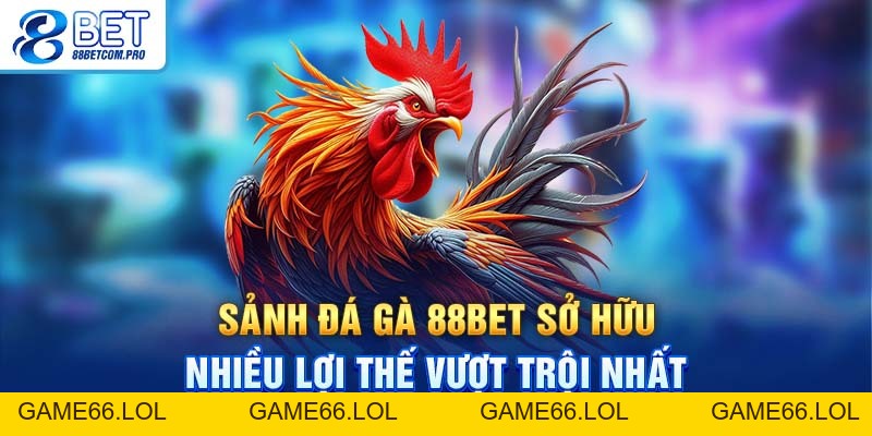 Đá Gà 88Bet Và Những Hình Thức Cược Thú Vị Bạn Nên Chơi - game66.lol