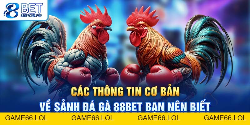 Đá Gà 88Bet Và Những Hình Thức Cược Thú Vị Bạn Nên Chơi - game66.lol