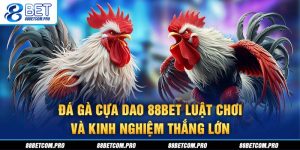 Tin Game 88BET: Khám Phá Xu Hướng Cá Cược Mới Nhất 2026 - game66.lol