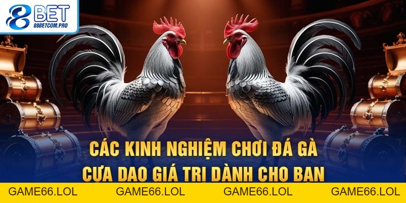 Đá Gà Cựa Sắt Tìm Hiểu Luật Chơi Và Kinh Nghiệm Cược - game66.lol