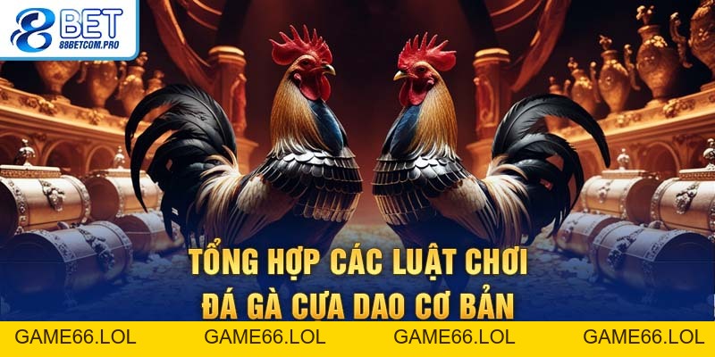 Đá Gà Cựa Dao: Luật Chơi Và Kinh Nghiệm Thắng Lớn 2026 - game66.lol
